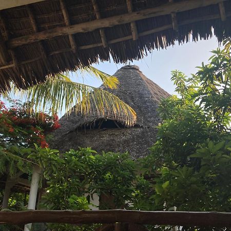 Pasa Lodge Zanzibar Nungwi Buitenkant foto