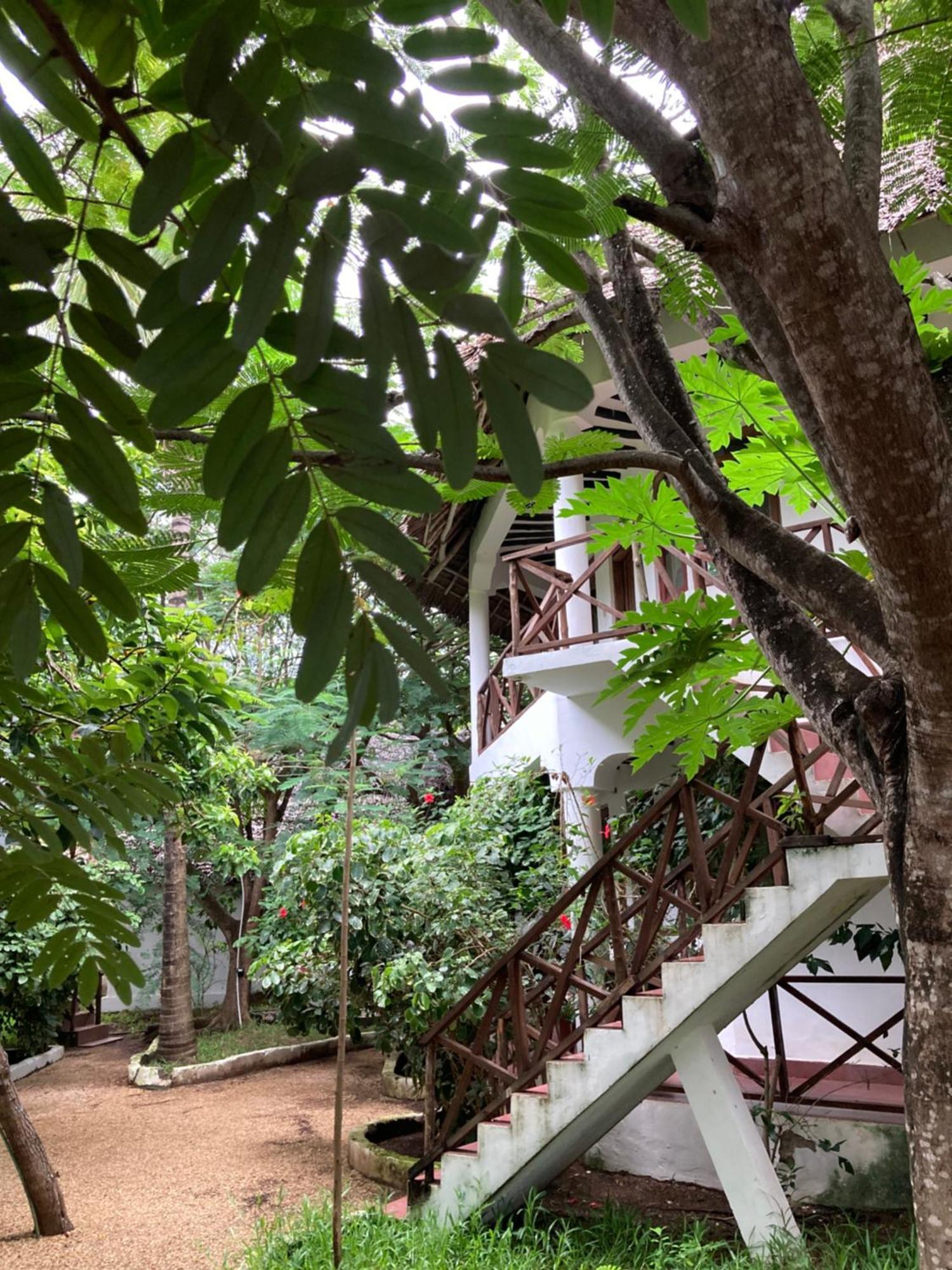 Pasa Lodge Zanzibar Nungwi Buitenkant foto